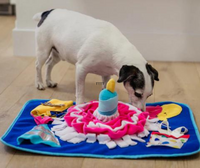 P.L.A.Y. Woof-day Celebration Snuffle Mat