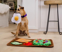 P.L.A.Y. Savory Sunrise Snuffle Mat